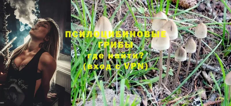 Галлюциногенные грибы MAGIC MUSHROOMS  mega рабочий сайт  Прохладный 